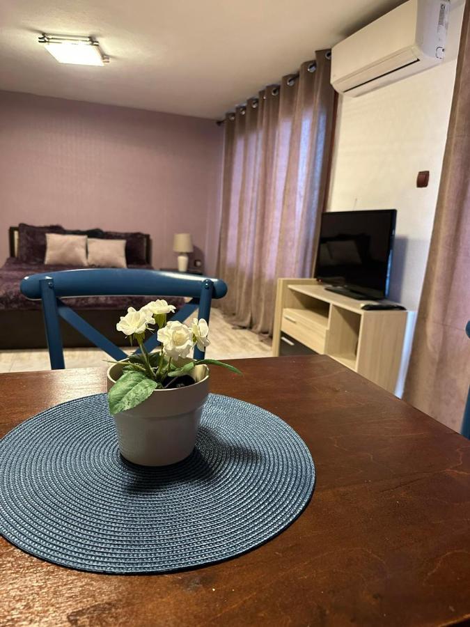 Hotel Вила Николета Sveti Vlas Esterno foto