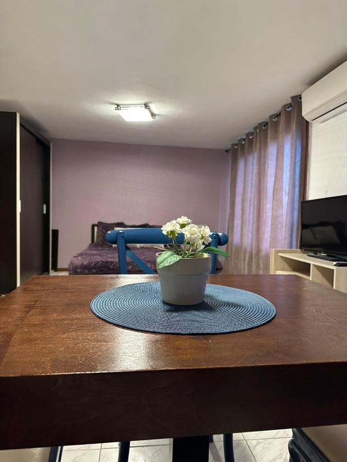 Hotel Вила Николета Sveti Vlas Esterno foto