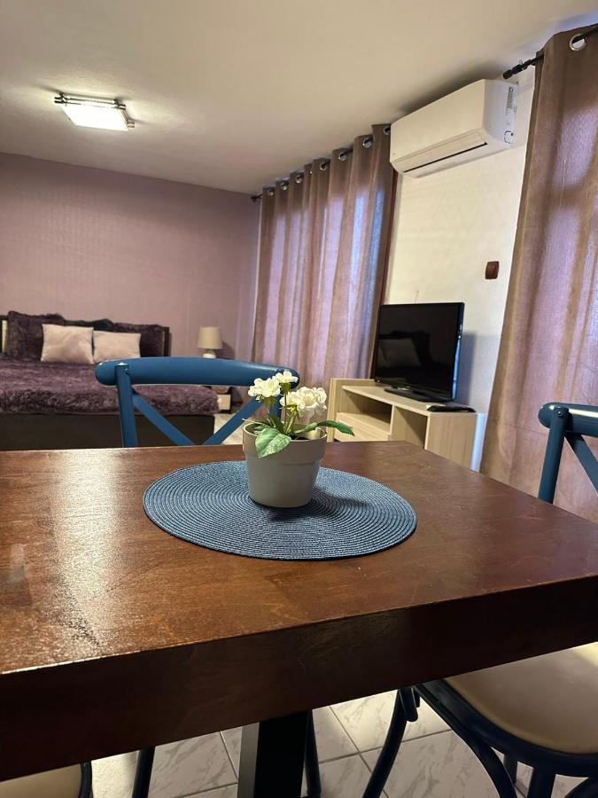 Hotel Вила Николета Sveti Vlas Esterno foto